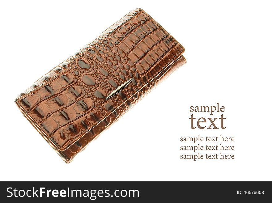 Brown leather purse isolated on a white background have a place to insert text