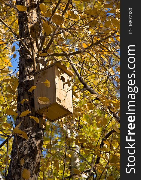Birdhouse on a tree. Autumn yellow leaves and twigs.