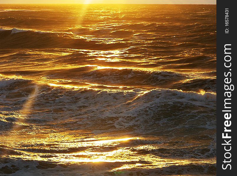 Golden Wave