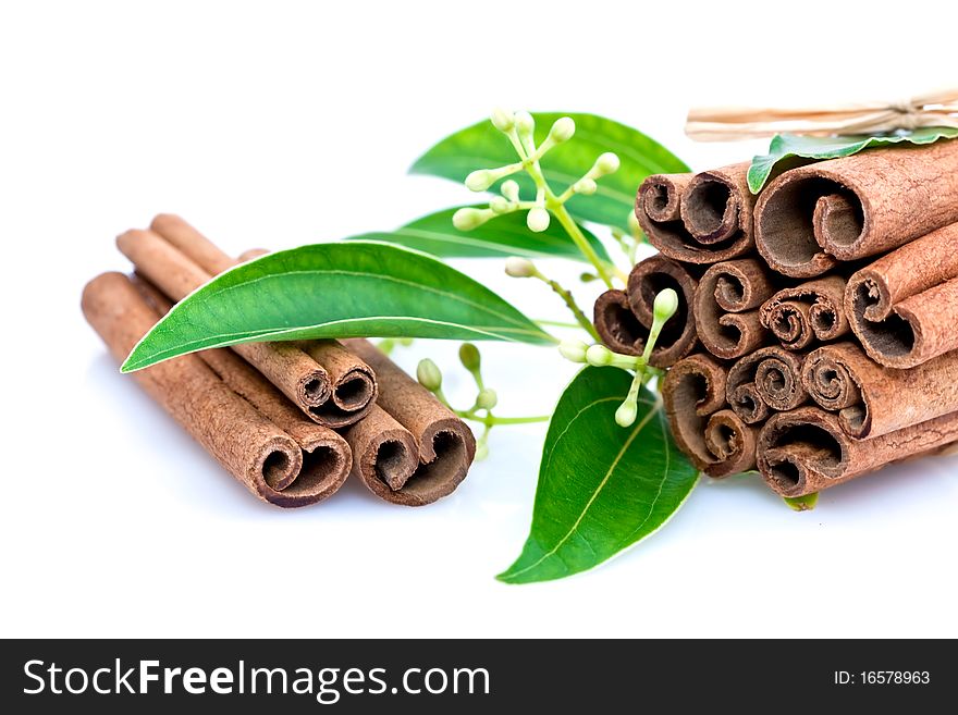 Bundle of cinnamon sticks tied with leaves on white studio background