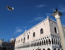 Sea Gull At Basilica Di San Marco Venice Italy Royalty Free Stock Photo