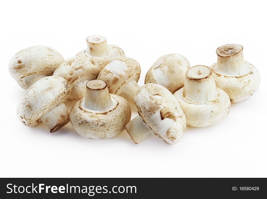 Mushrooms royal champignon on a white background