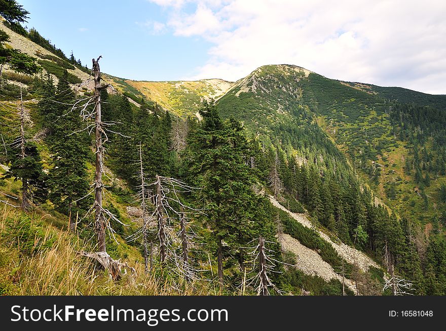 Green Hills in the national park Krkonose in the Czech Republic