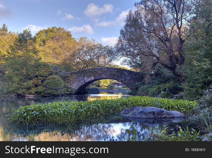 Central Park in early autumn