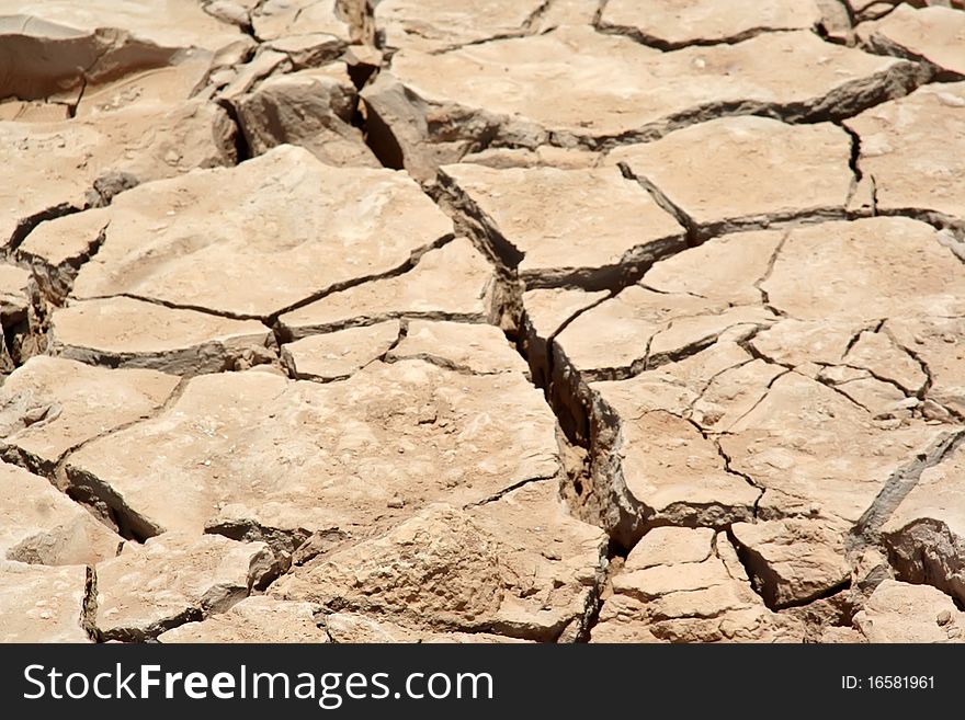 Detail of the dried ground. Detail of the dried ground