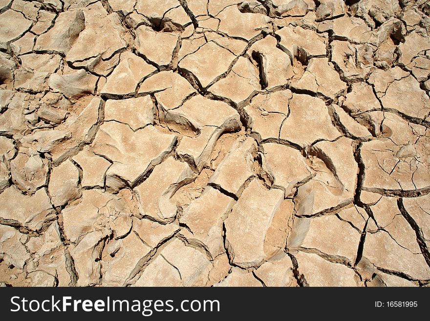 Detail of the dried ground. Detail of the dried ground