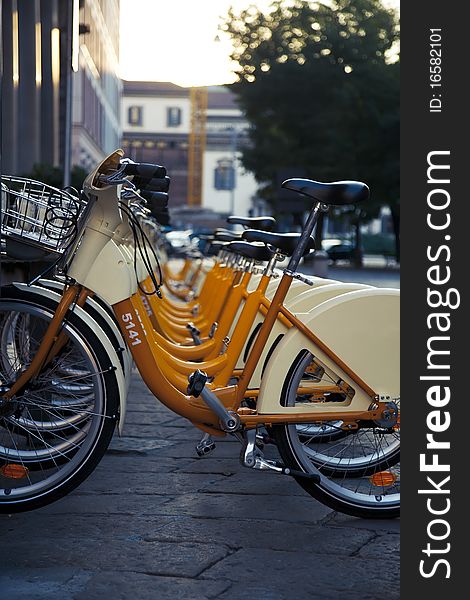 Several rental bicycles parked in a row