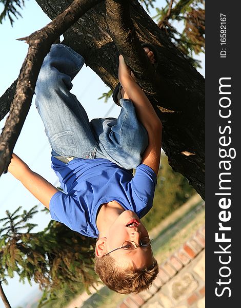 Young boy on the tree