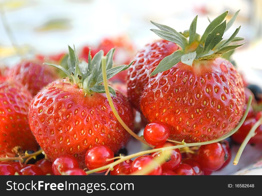 Strawberry and red currant on a plate.