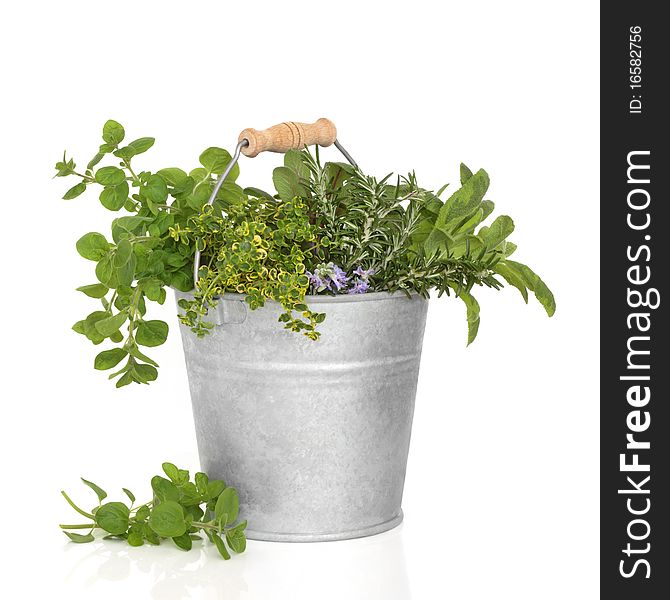 Herb leaf selection of thyme, sage, oregano and rosemary flowers in an old aluminum bucket, isolated over white background. Herb leaf selection of thyme, sage, oregano and rosemary flowers in an old aluminum bucket, isolated over white background.