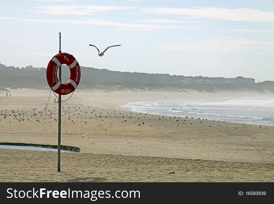 Lifebuoy on northen portuguese beach, with seagull flying near. Lifebuoy on northen portuguese beach, with seagull flying near