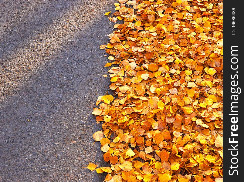 Texture of autumn orange leafs on asphalt