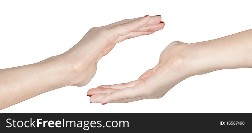 Two hands isolated on white background - copy space