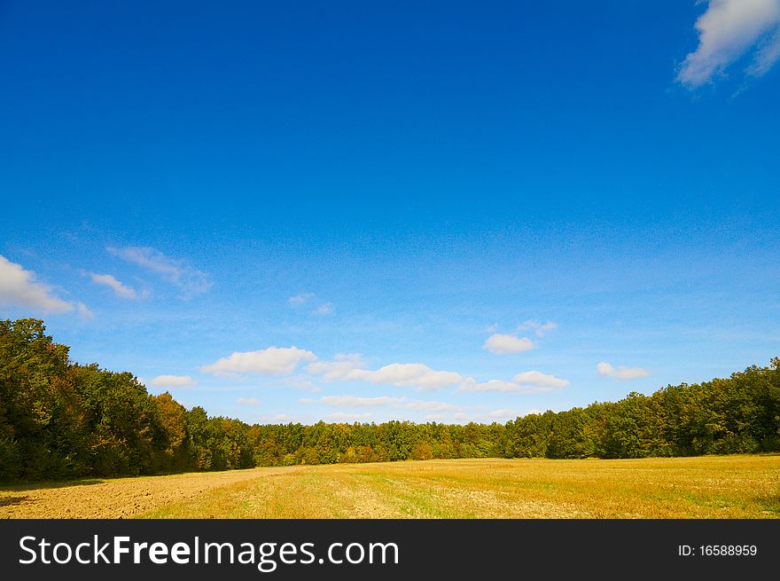 Autumnal view of field and grove. Autumnal view of field and grove.