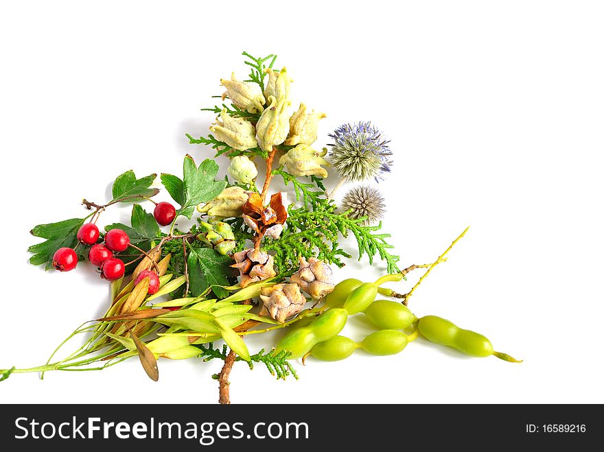 A bouquet of autumn fruit and leaves on a white background. A bouquet of autumn fruit and leaves on a white background