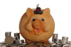 Piggy Bank On Coins Stock Images