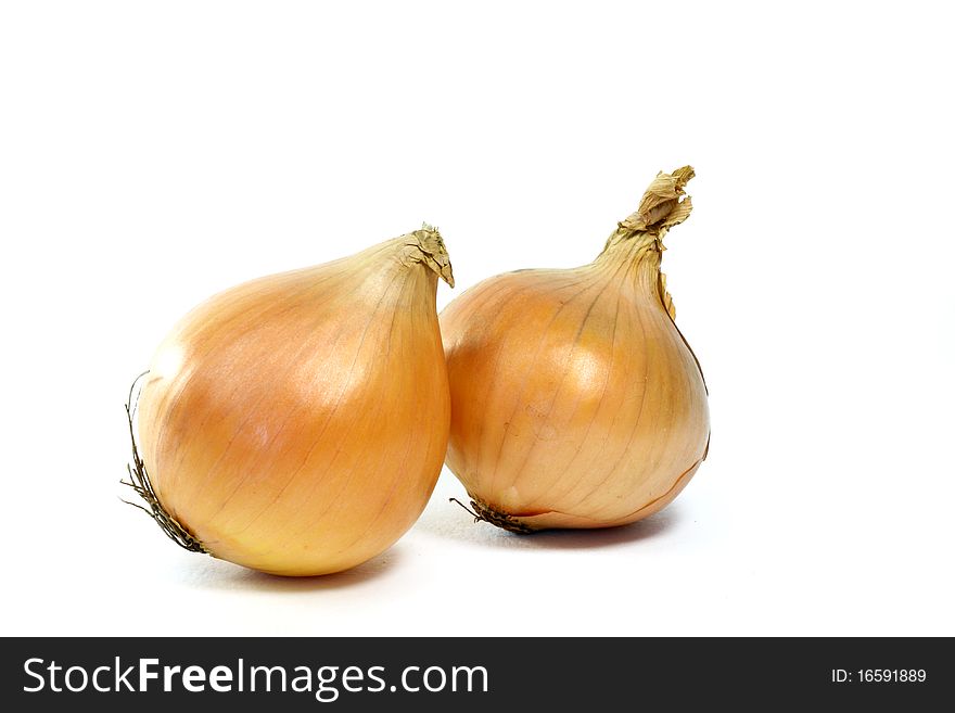 A lonely onion is isolated. A lonely onion is isolated