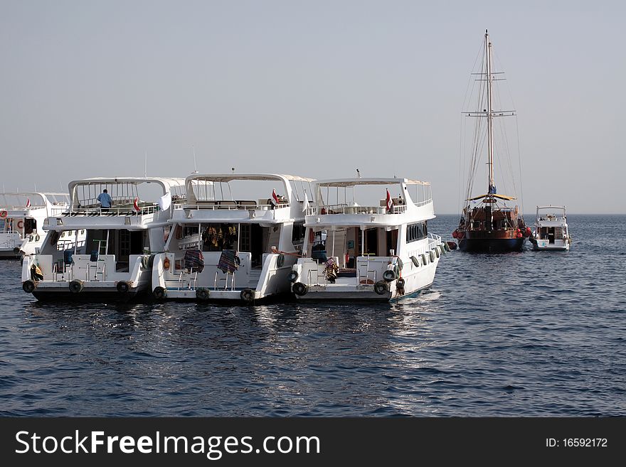 Sea Yachts under sunlight at its moorings