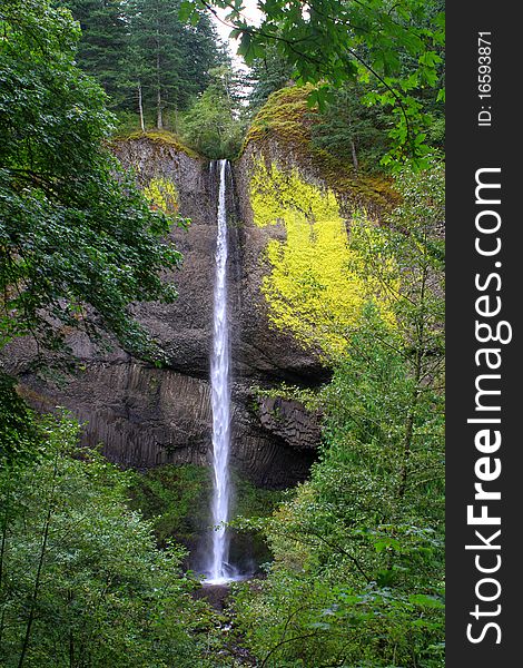 Waterfall In The Columbia River Gorge