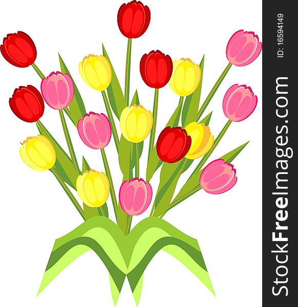 Postcard with an image of colorful tulips. Postcard with an image of colorful tulips