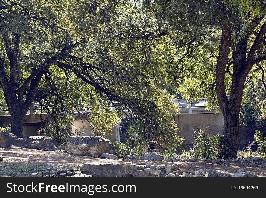 A bridge among trees with a path and creek bed.