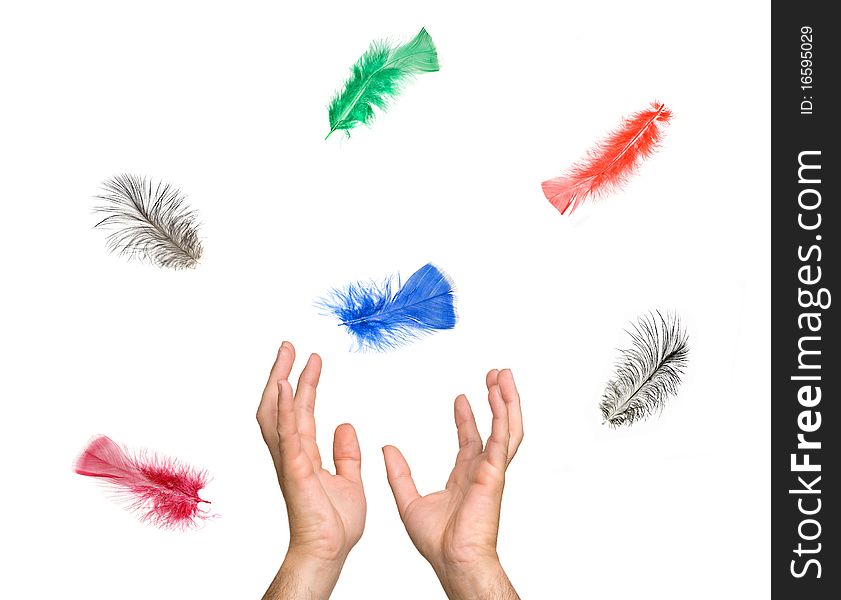 Close up of colorful feathers falling to hands