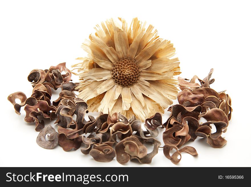 Dry flower with brown potpourri