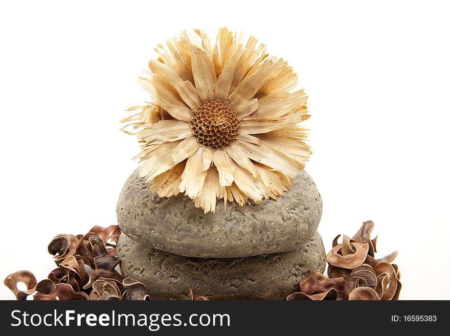 Dry flower on stone and with potpourri