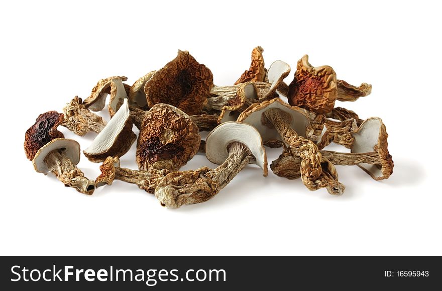 Dried Boletus Mushrooms