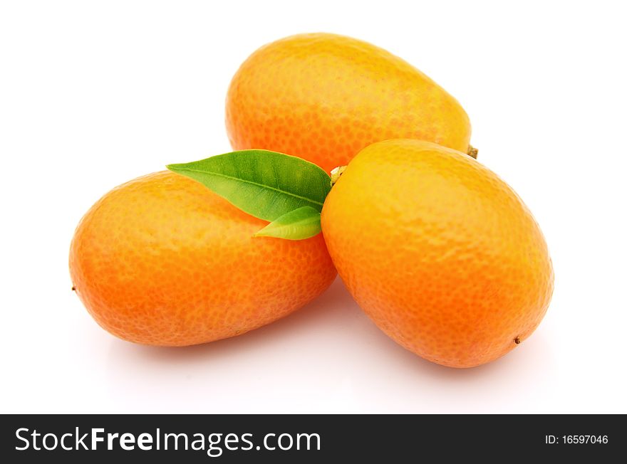 Swee Kumquat
