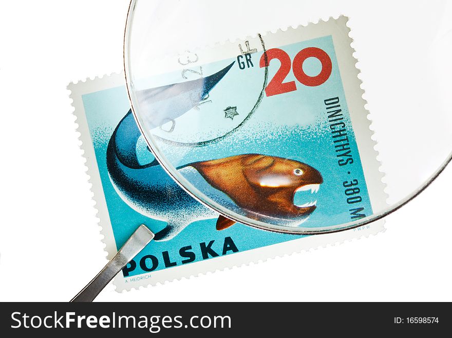 Postage stamp under magnifiying glass with tweezers. Postage stamp under magnifiying glass with tweezers