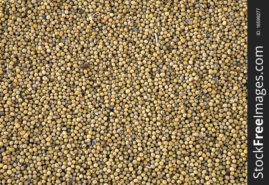 Many soybeans in a pile with grist