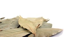 Spice - Bay Leaves Close Up Royalty Free Stock Photos