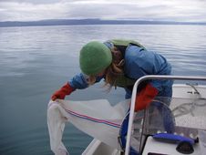 Woman Towing Net Stock Photo Woman Towing Net Stock Photo