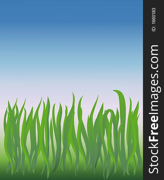 Vector based illustration of a grassy field closeup. Vector based illustration of a grassy field closeup