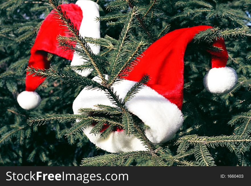 Pretty christmas hats hangs on a christmas tree. Pretty christmas hats hangs on a christmas tree.