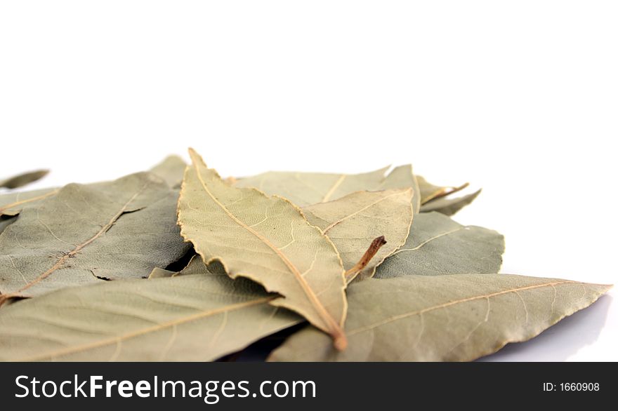 Close up of Bay Leaves on an isolated background. Close up of Bay Leaves on an isolated background