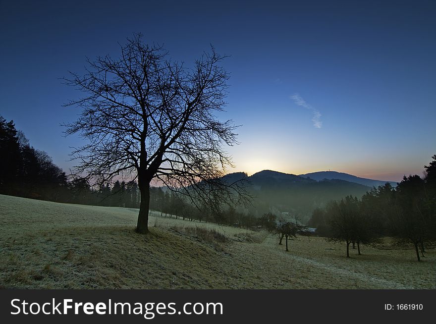 Silhouette of a tree, Czech Republic. Silhouette of a tree, Czech Republic