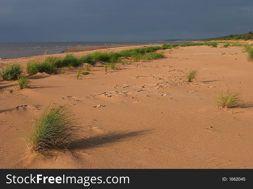 Seacoast, Sandy Beach