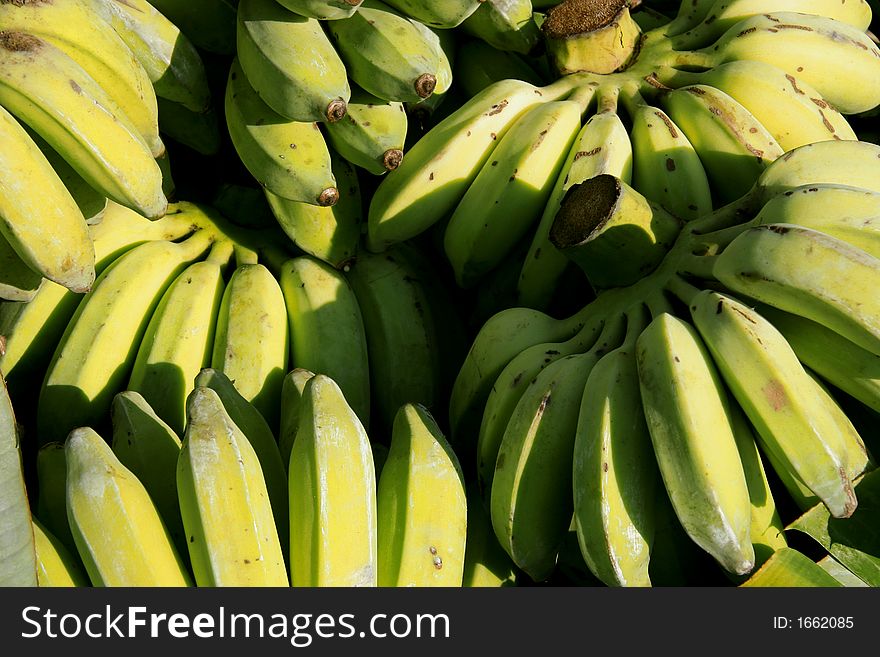 View of yellow bananas in bunches