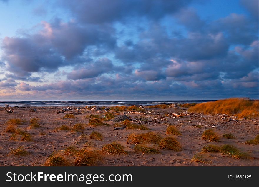 Seacoast, red dry grass, blue sky