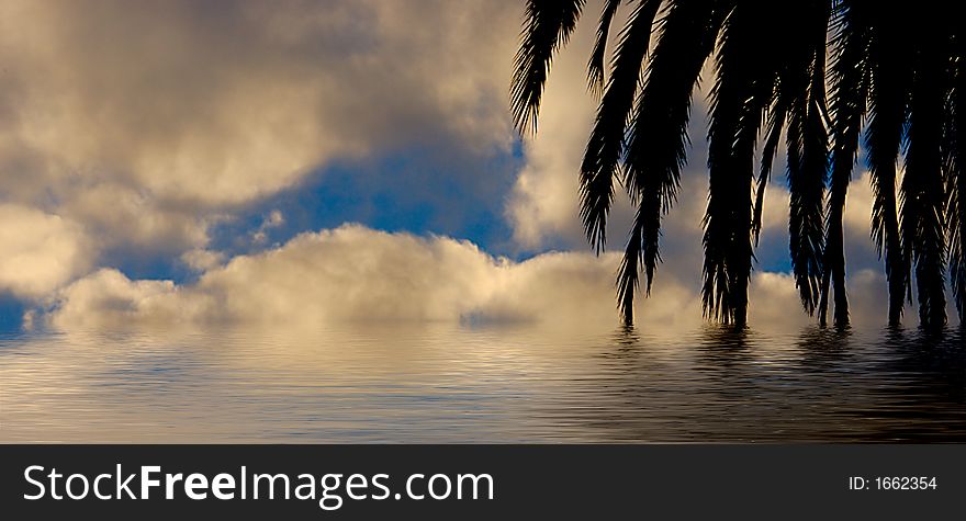 Palm Tree In The Water