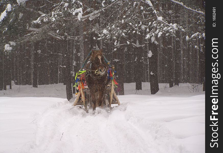 Pancake week celebration (Pagan`s holyday of coming spring with horse riding). Pancake week celebration (Pagan`s holyday of coming spring with horse riding)