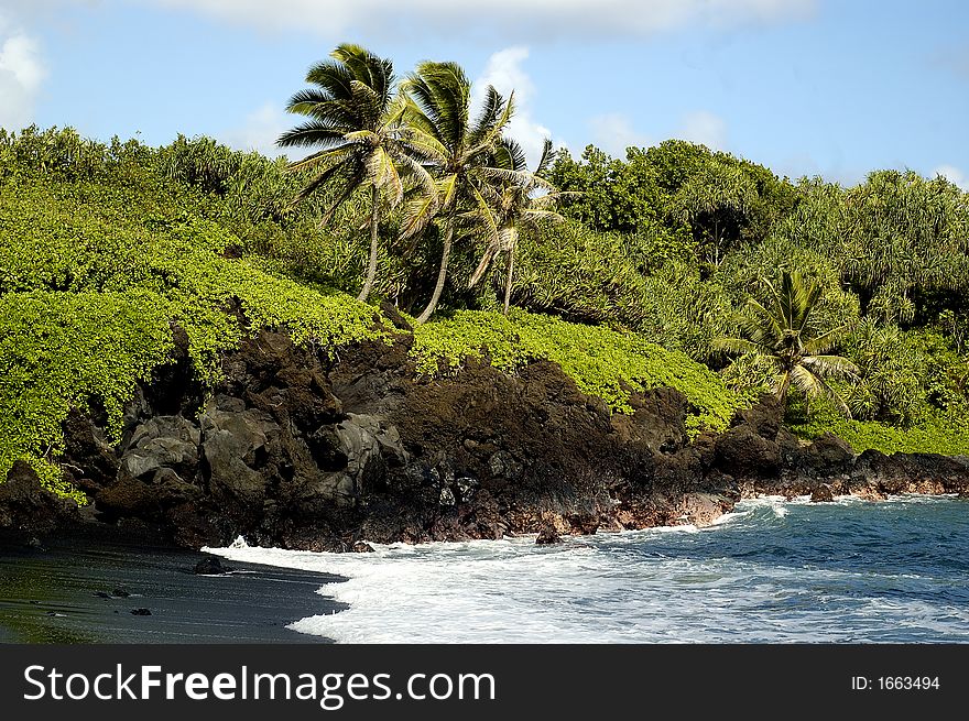 Tropical beach with cocunut trees and rocks during a bright sunny day