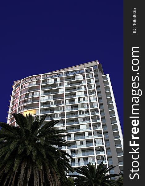 Tall Urban Apartment Building,Palm Tree, Twilight, Sydney, Australia