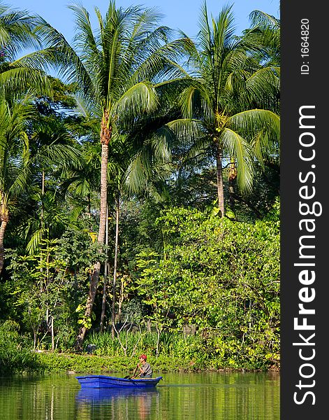 Man in blue boat on palm tree coastline background