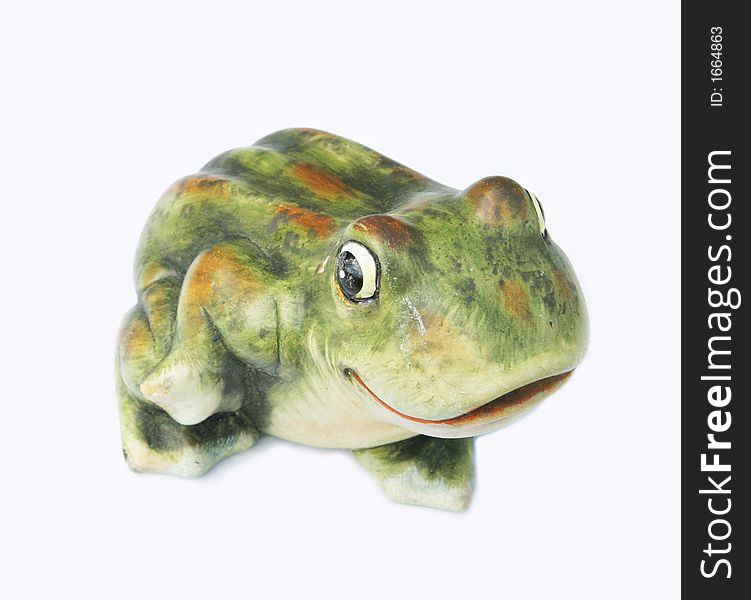 Frog isolated on a white background