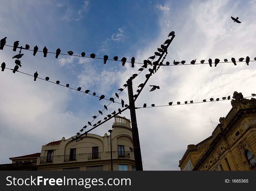 Pigeon mail