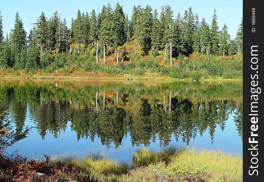 Fall Reflection