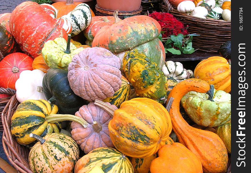 Basket with small green pupkins different colores. Basket with small green pupkins different colores